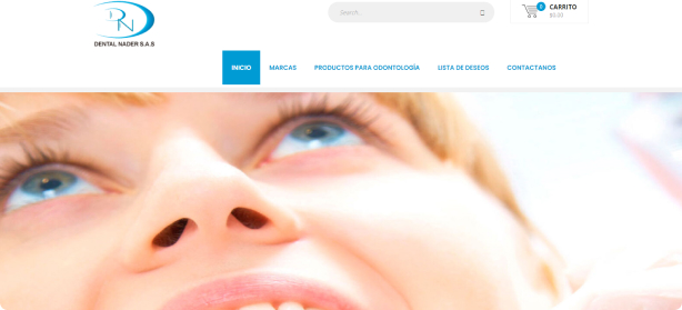 Plan diseño y desarrollo tienda online para insumos de odontología