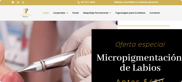 Desarrollo de página web para spas en USA