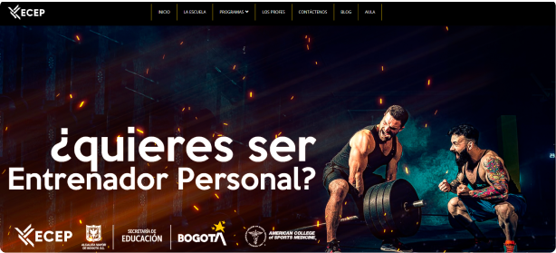 Desarrollo web para escuela de entrenamiento